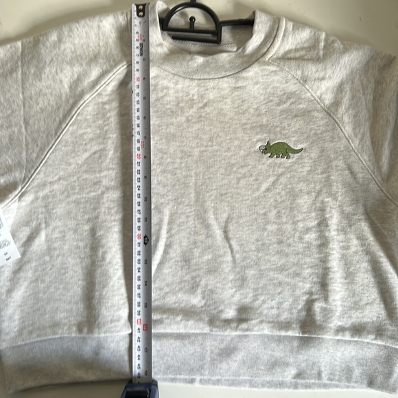 Aritzia Sunday Best Elle Dinosaur Cropped Crewneck Sweatshirt - Picture 5 of 7